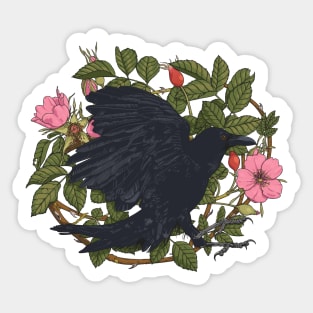 Raven and roses t-shirt Sticker